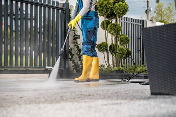 Professional  Pressure Washing in Carbondale, CO